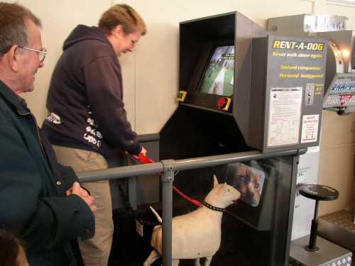 Rebecca tries out Tim Hunkin's latest amusement arcade masterpiece: rent-a-dog!